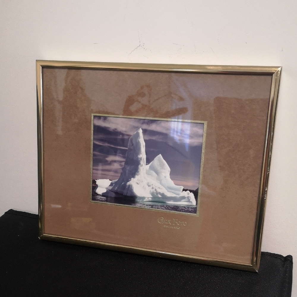 Professional Photo Iceberg Gander NFLD Professionally Framed Brass Art Print
